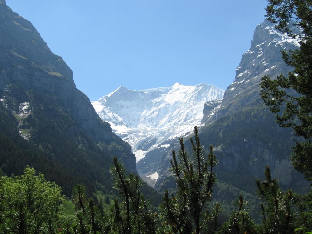 Ferienwohnungen Chalet Hohturnen Grindelwald Exterior foto